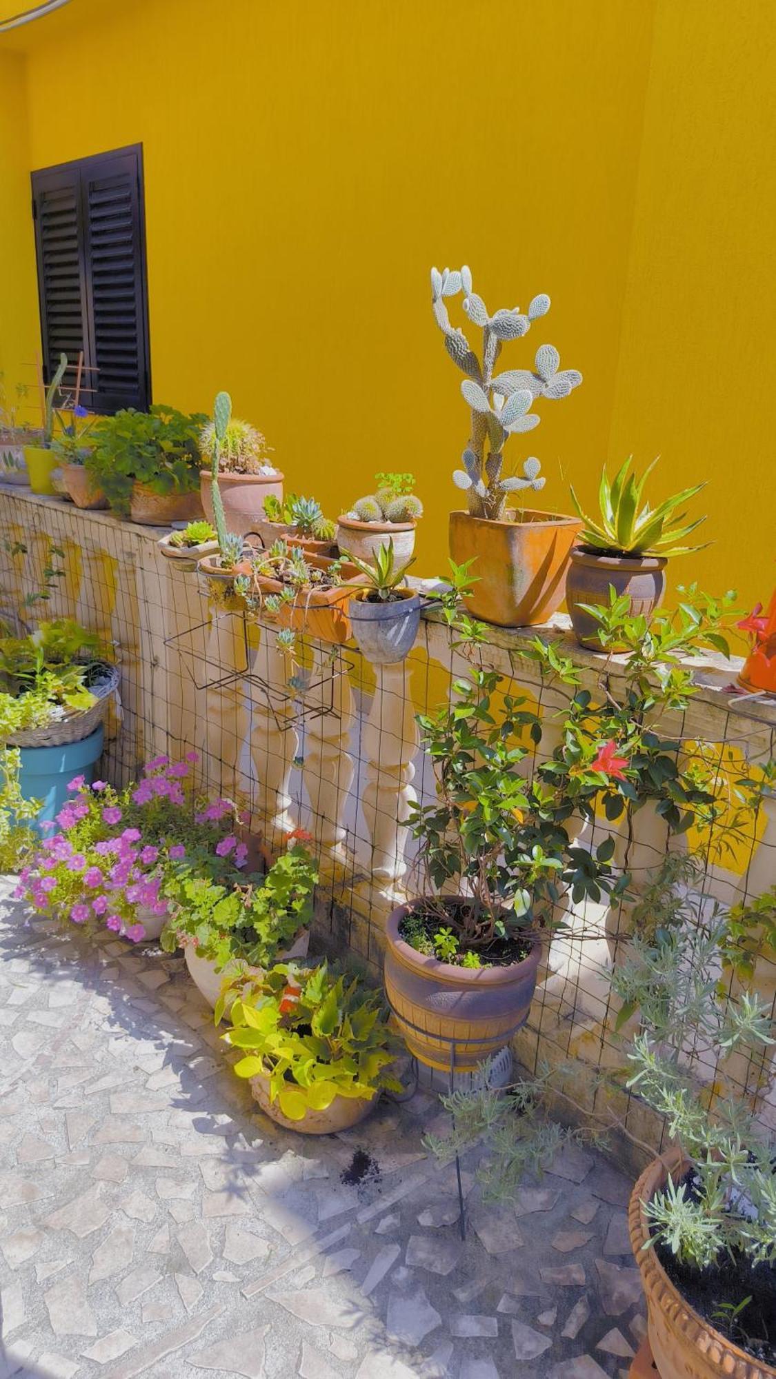 Apartament - Lisa Budua Esterno foto