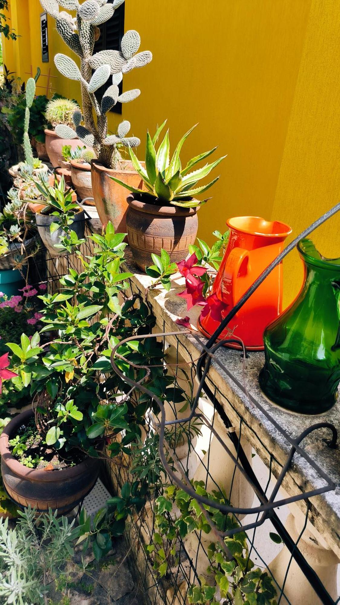 Apartament - Lisa Budua Esterno foto