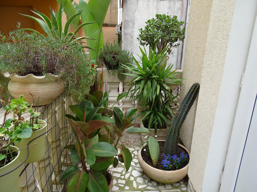 Apartament - Lisa Budua Esterno foto